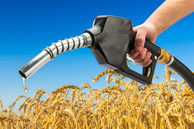 Para etanol de milho avançar ainda mais, é preciso ter estratégia de armazenagem