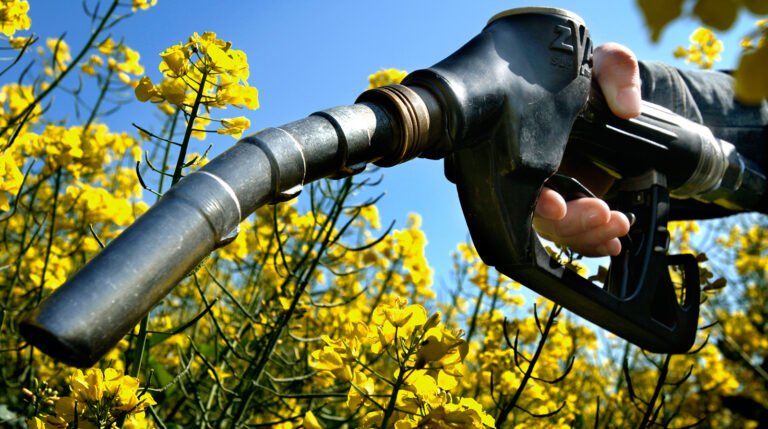 Selo amplia presença da agricultura familiar na produção de biodiesel