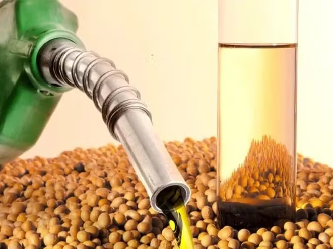 ANP revoga autorização de produtora de biodiesel por uso excessivo de metanol