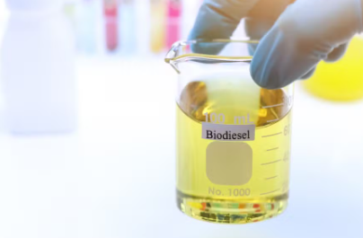 Testar biodiesel puro ou o aumento da mistura?