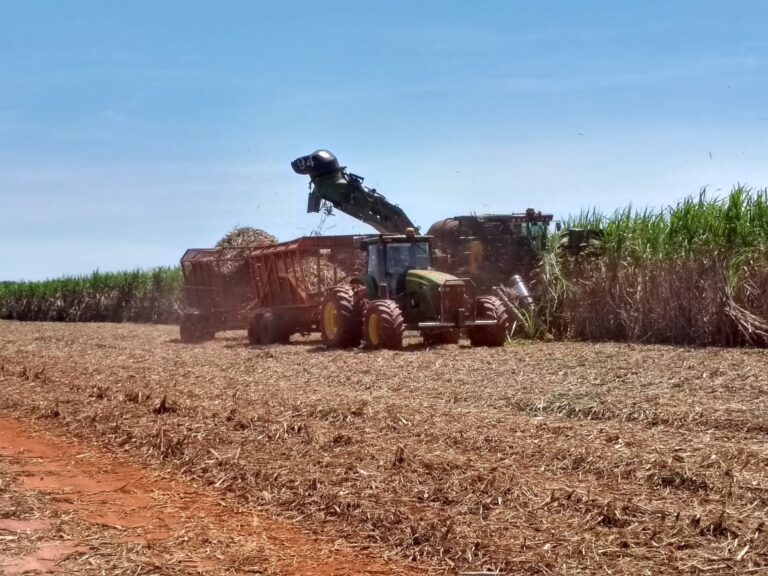 Etanol é fundamental para descarbonização, diz diretor da Tereos