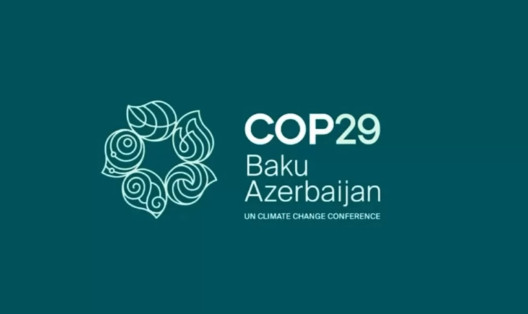 Na COP29, IBP reforça compromisso com transição energética