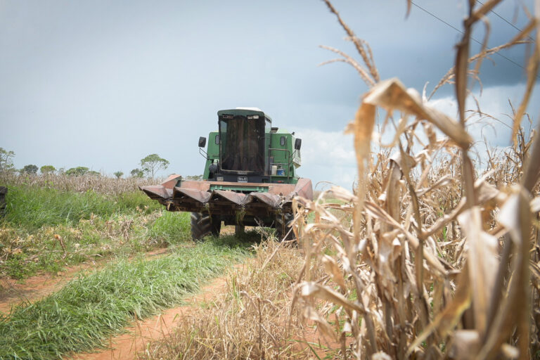 Agro vê etanol ameaçado em negociação sobre tarifas de 50% de Trump