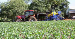 Paraná pode produzir até 6,2 milhões de litros de etanol de milho, quase o dobro do Mato Grosso