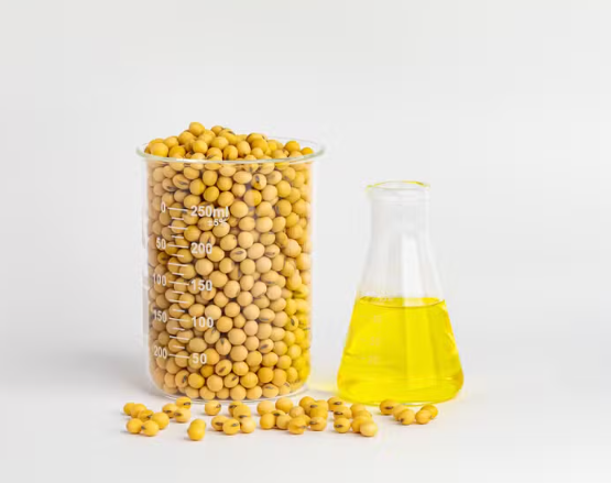 Sem novos projetos, país pode ter déficit na oferta de biodiesel