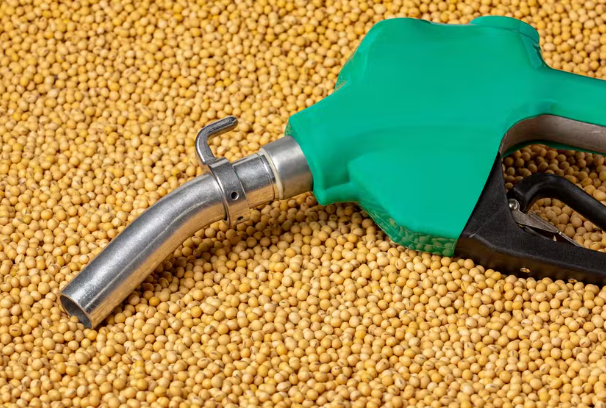 Indústria de soja tem condição de atender maior demanda de biodiesel