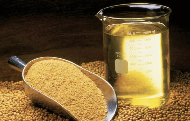 Salto na demanda por biodiesel desafia setor a expandir processamento de soja