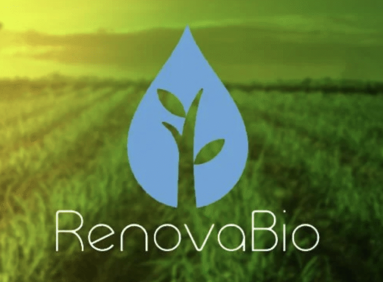 RenovaBio: ANP aprova primeiro certificado da produção eficiente