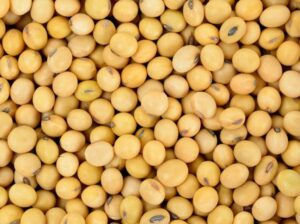Biodiesel eleva a recorde fatia do óleo de soja na margem de lucro da indústria